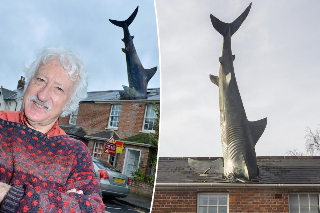 Airbnb with giant roof-diving shark faces closure after official backlash: 'Come while you can'