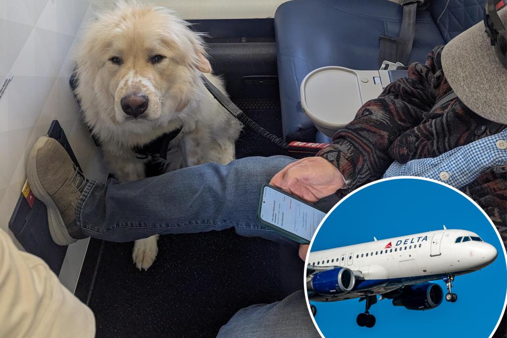 Passenger angry at being forced to give up Delta first-class seat - for a dog: 'There's nothing they can do'