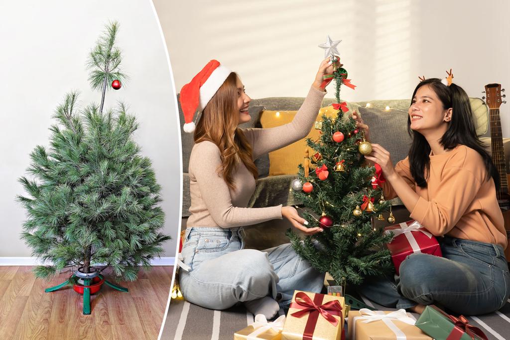 The 'Treamhic' home trend is ramping up this Christmas - and one reason why it's pretty wild