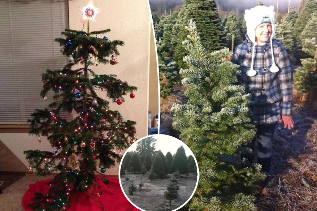 Family embraces hilarious Christmas tradition for nearly 2 decades: 'Ugly trees need love too'