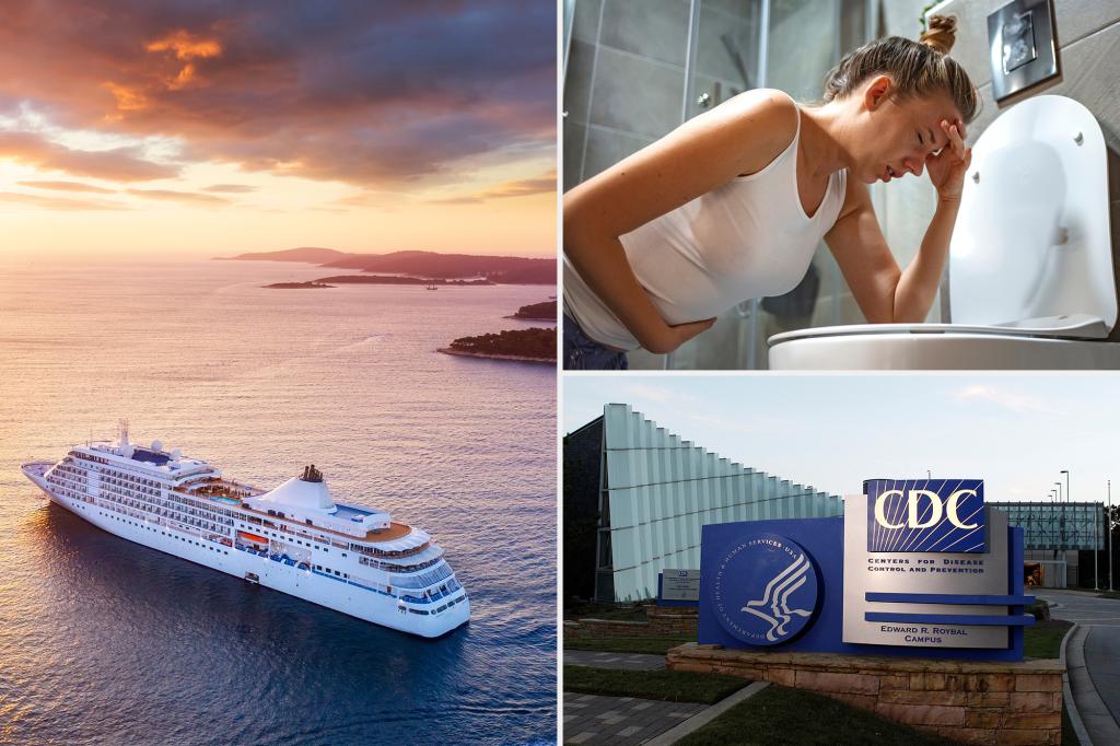 2024 was worst year for stomach virus outbreaks on cruise ships in more than a decade: CDC