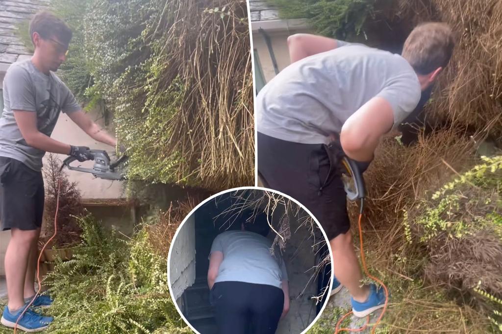 New owners discover secret building feature buried in their garden: 'I want a bit of buy one get one free'