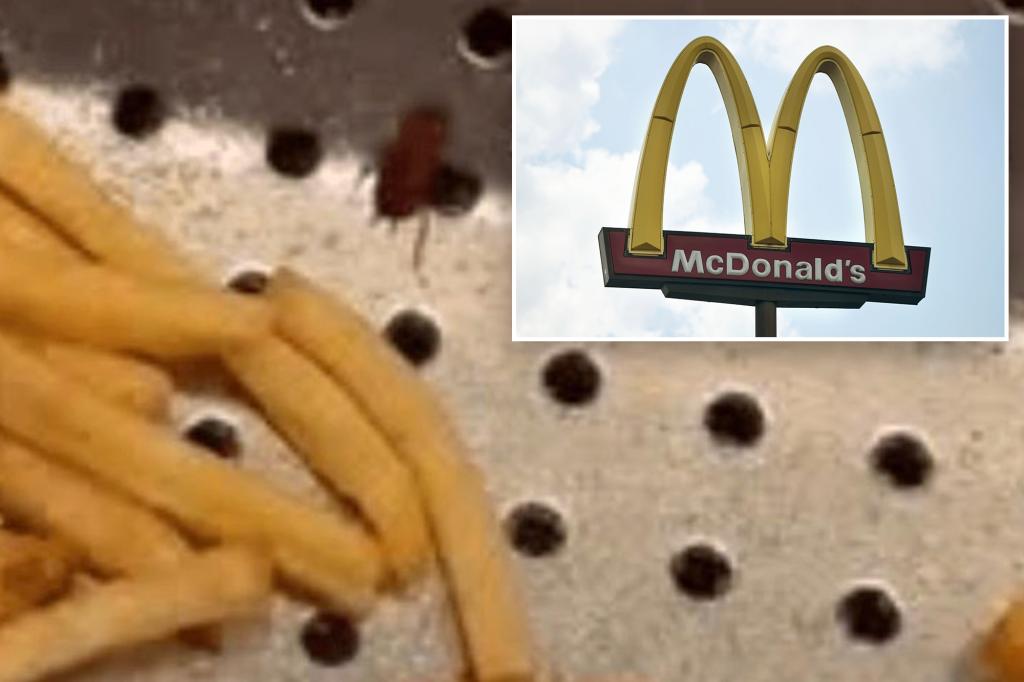 Stomach-wrenching footage captures cockroaches and worms inside the busy McDonald's