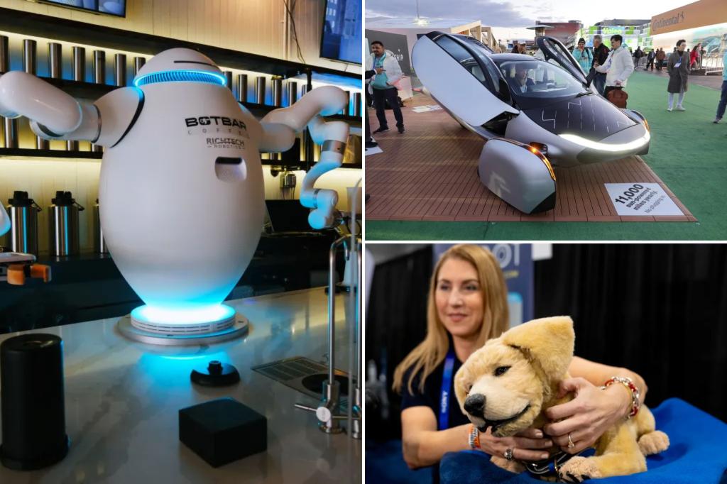 CES 2025: Robot bartenders, flying cars, automatic cats and dogs lead the way at the tech festival