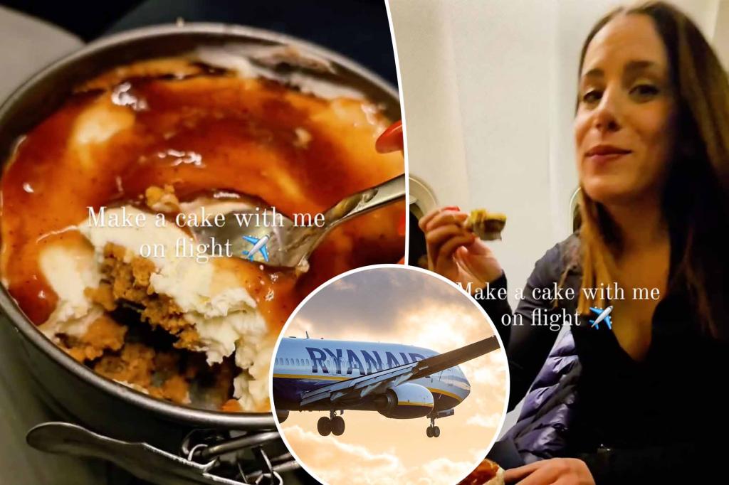 Passenger annoys her colleagues by making dessert from scratch in her seat: 'Stupidest thing I've seen all day'