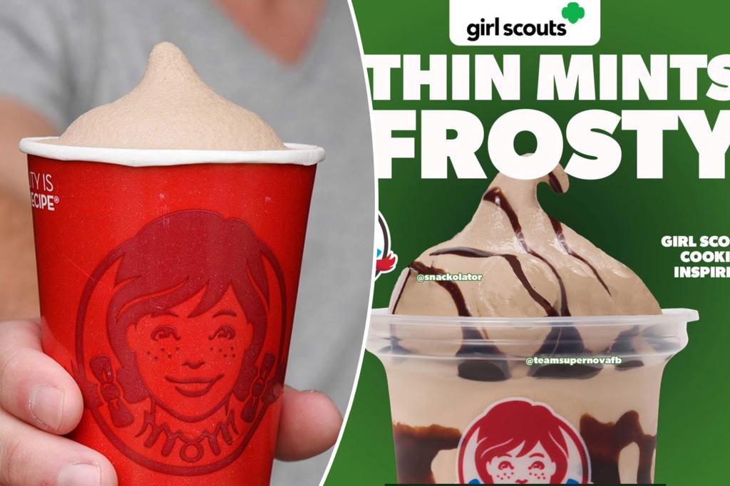 Wendy's Girl Scouts' Thin Mint Frosty Rumors Gain Steam - And Fans Are Sizzling: 'We Can't Wait For This!'