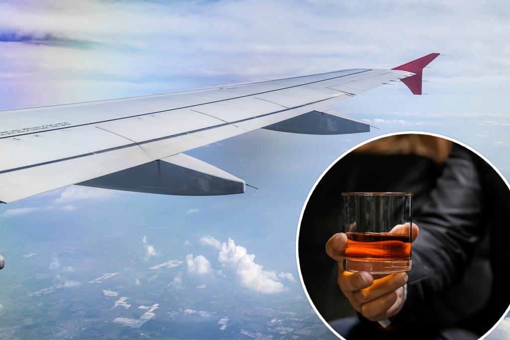 Airline pleads with airport bars to enforce 2-drink limit amid lawsuit against disruptive passengers