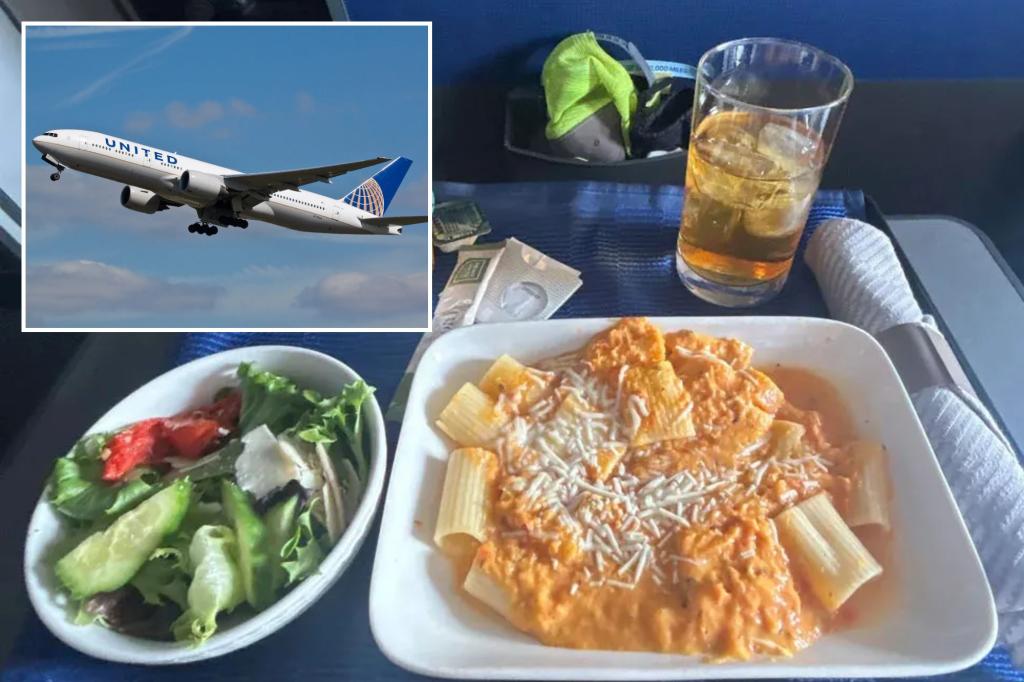 Airline passenger shocked by extreme 'decline' in quality of food between flights just days away