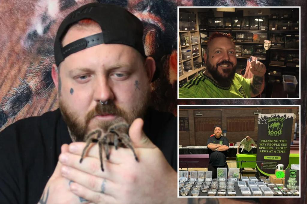 I have over 1000 spiders in my 'tarantula cave' - helping people overcome their fear of creepy crawlies