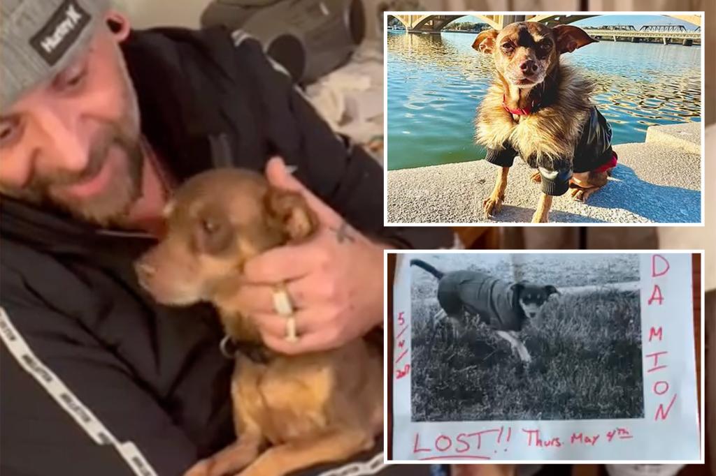 Arizona's man reunited with the lost dog after 8 years while on the road to help relieve fire in California