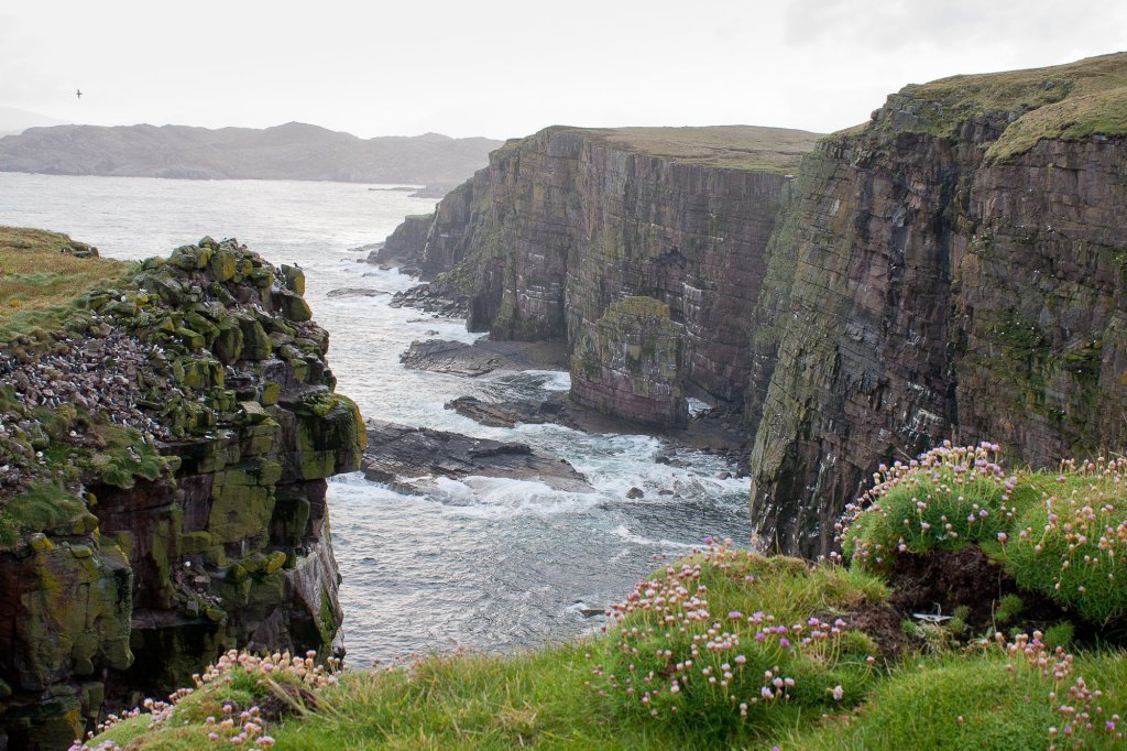 View of Handa Rocks in the remote and uninhabited Isle of Handa Wildlife Reserve in Scotland, looking for a manager with accommodation provided