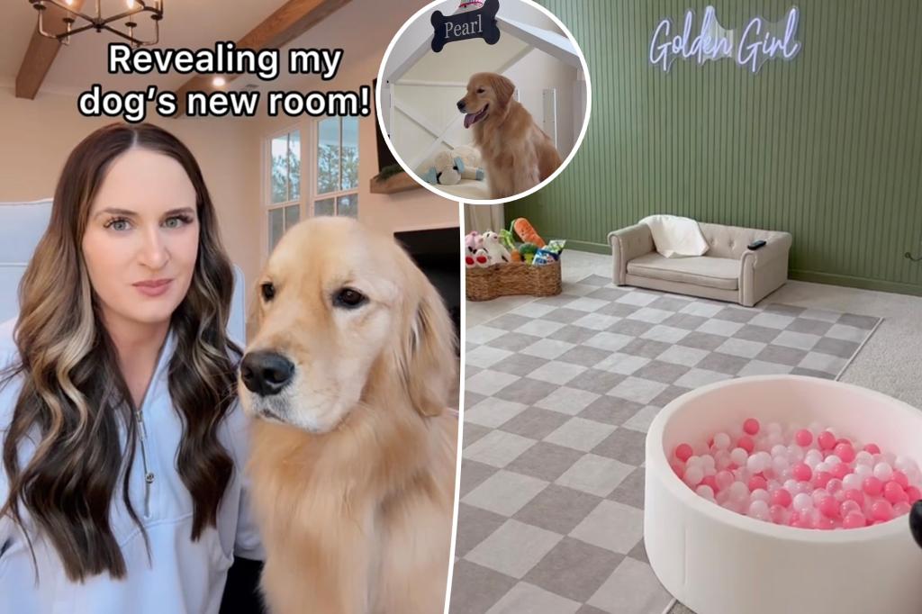 I am owner of dogs and have spent $ 1,000 to turn the reserve bedroom into the perfect pets attraction