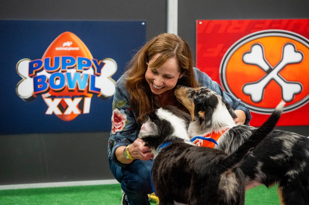 Photo from animal planet/Warner Bros. The discovery shows animal expert Victoria Schade interacting with dogs in group of "Puppy Bowl XXI," Sunday transmission. 