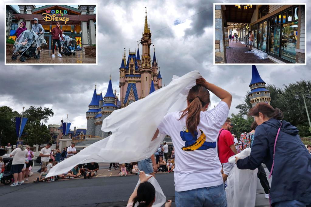 Hurricanes lead to $ 120 million impact on Disney Topic Park operations