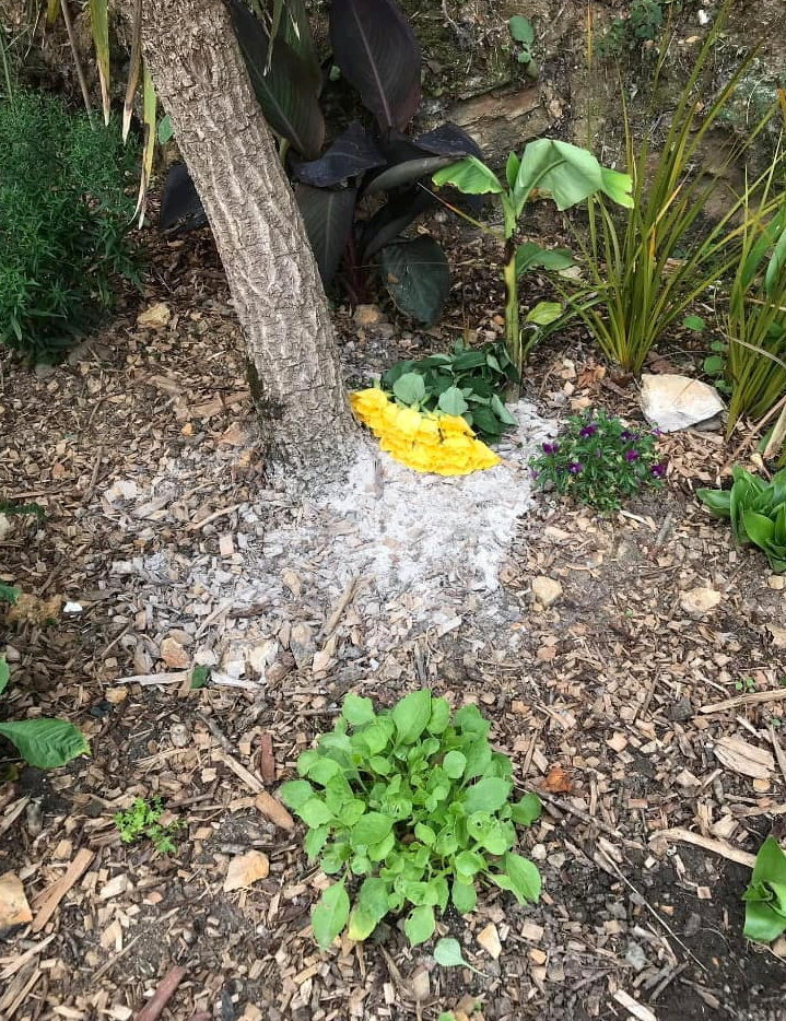 Gardeners working in a flower in the sunny corner, a river place adjacent to the river in Cornwall, expressing their dissatisfaction with the illegal distribution of the human ash.