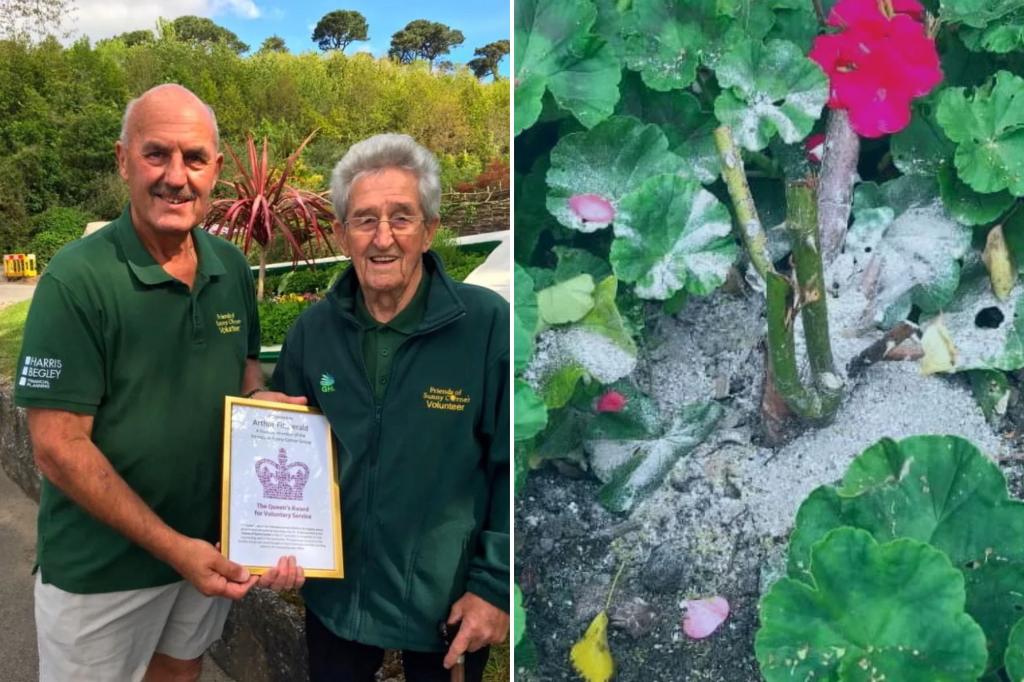 The mourners are distributing human grace in a community garden and volunteers are marked - for a grave reason: 'quite worrying'