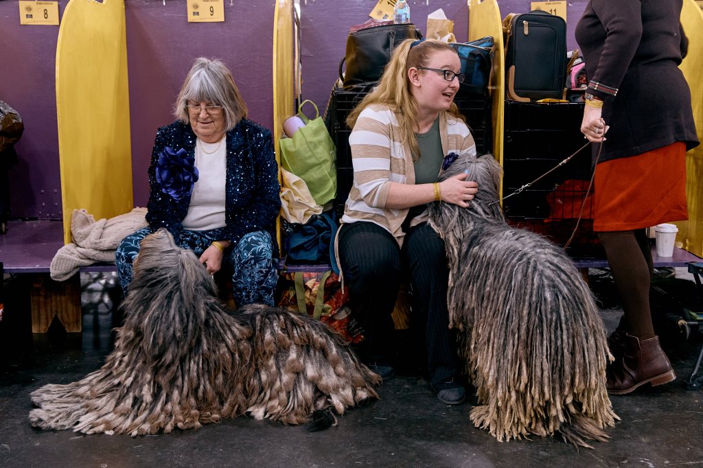 Dionne Call and Joanne Flow by relaxing with their Komnondorok dogs on the 149th anniversary of Kennel Club's dog anniversary in New York City