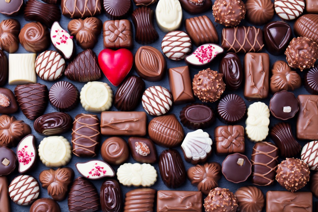 A assortment of fine chocolate cakes, background of white, dark chocolate cakes and milk. Copy the space. The main view.