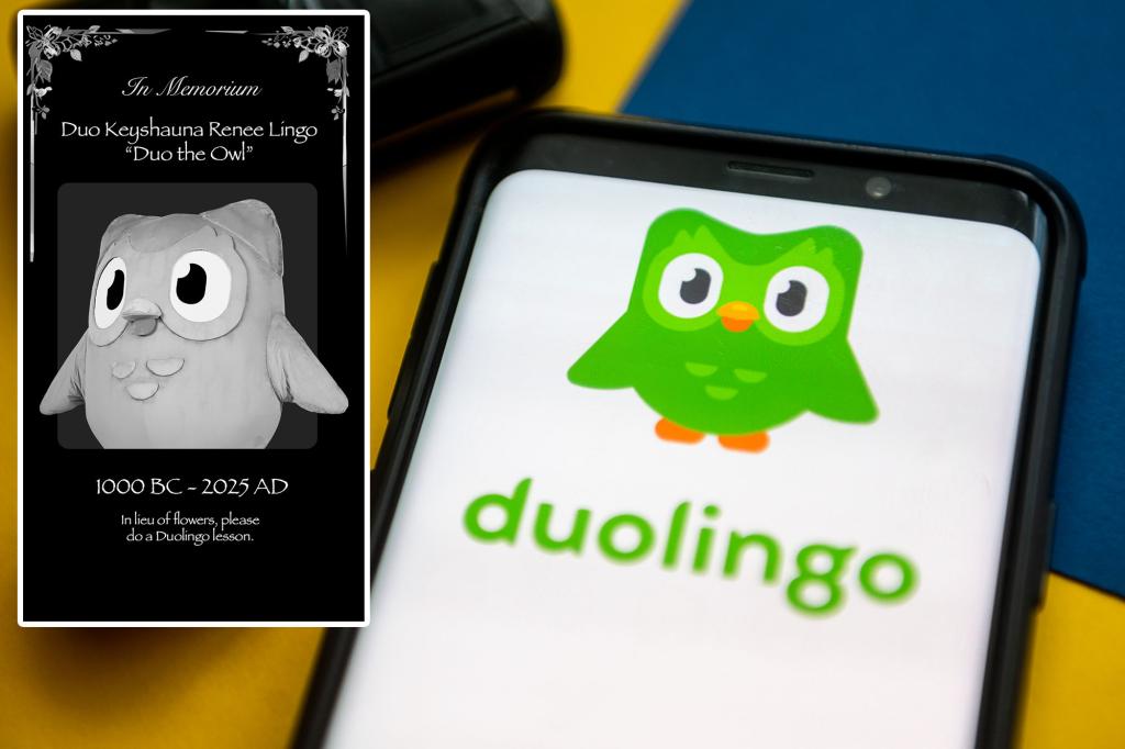 Duolingo announces the death of her beloved owl owl, Duo: 'We are aware that he had many enemies'