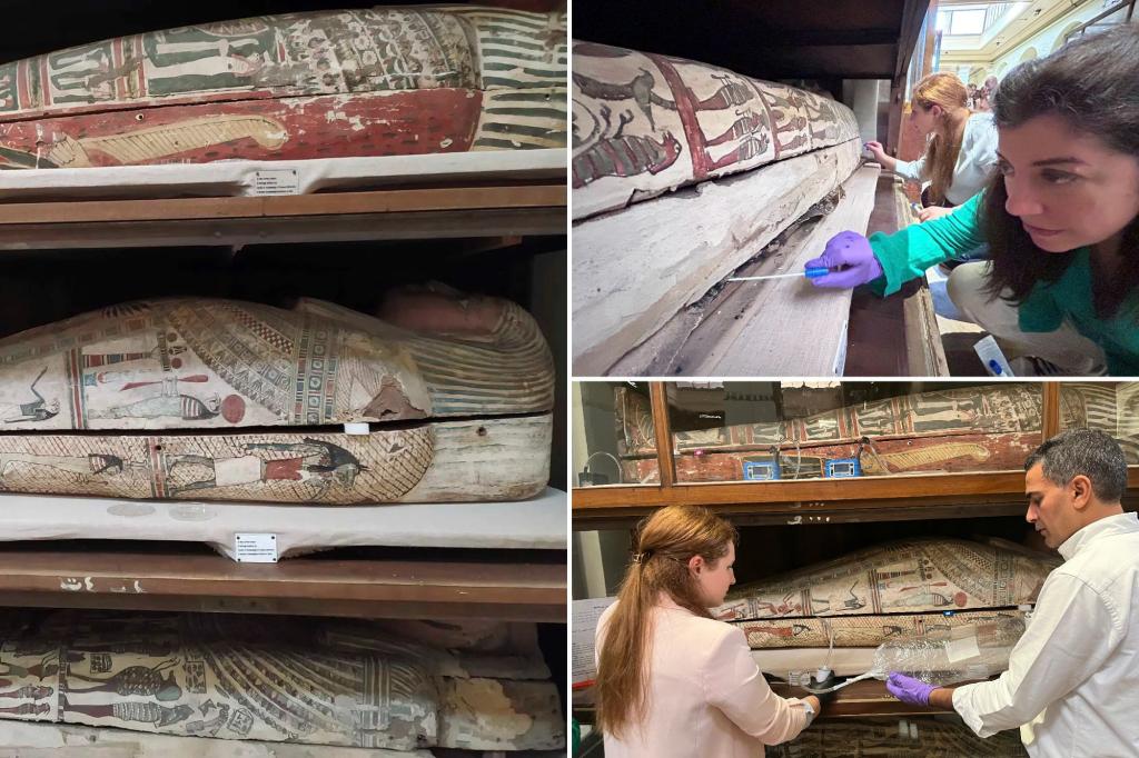 Researchers received a noise of Egyptian mummies for science - they 'provided by their pleasure'