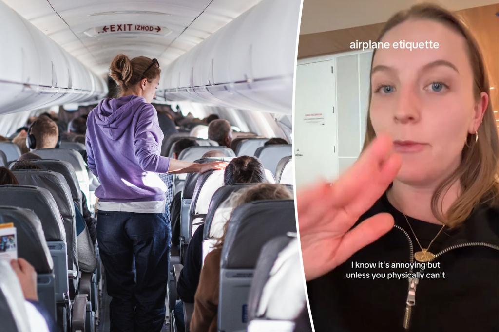 The passenger of the plane gives enraged PSA following the inconsiderable Seatmate movement: 'You can't keep the slave of the row'