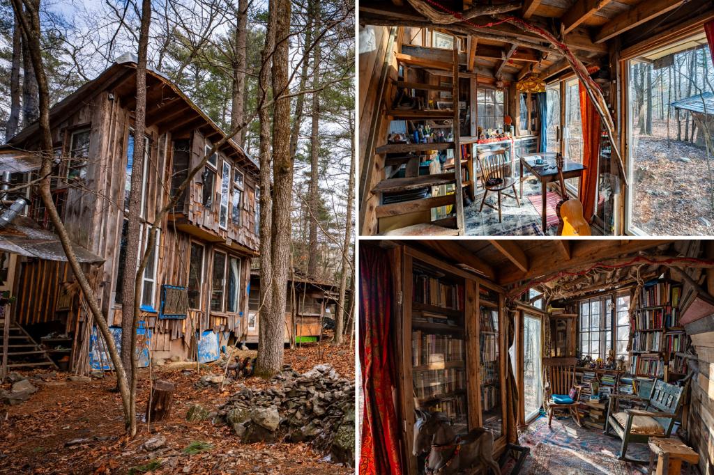 Artist lists the attraction off the network in the Catskills Desert for $ 269K