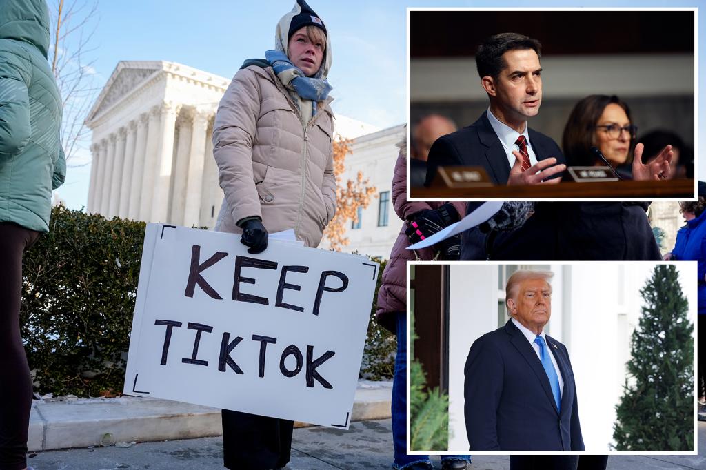 Exclusive | 77% of Americans concerned about Chinese ownership of Tiktok while Trump admin scrambles to 'Save' app