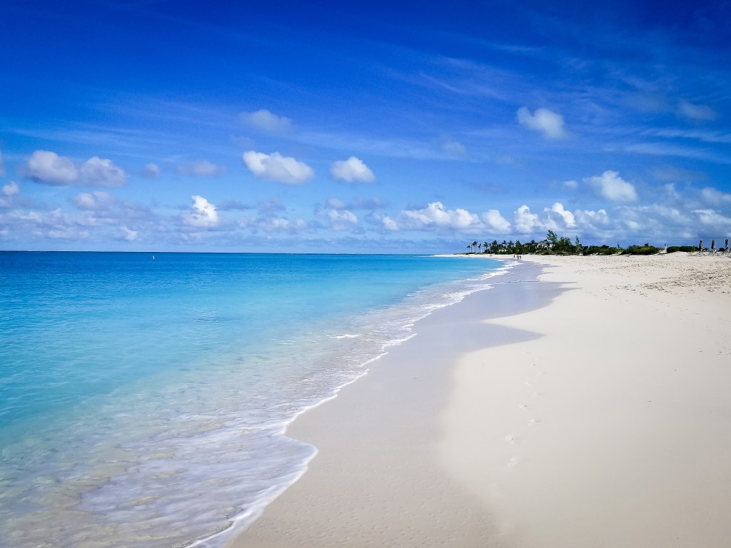 Beauty beach with turquoise water and palm trees in the background in Grace Bay, Providentials, Turkish and Caicos.