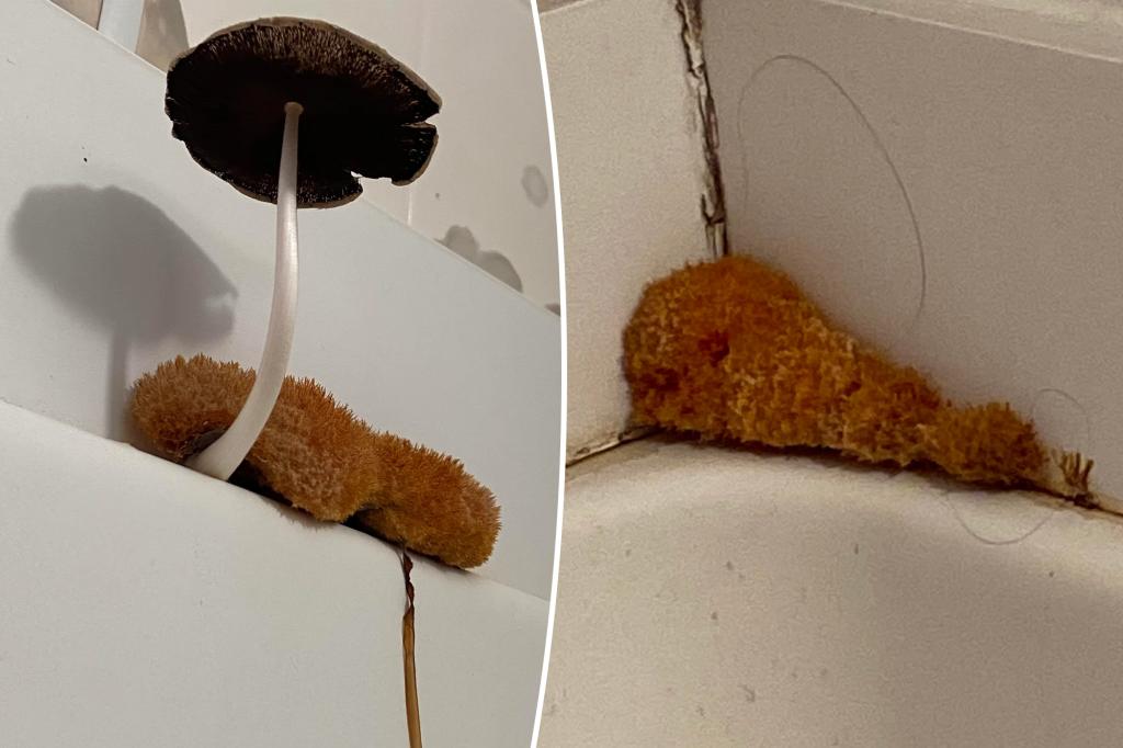 Shower 'Loofah' turns out to be something much more terrible - but 'surprisingly beautiful'