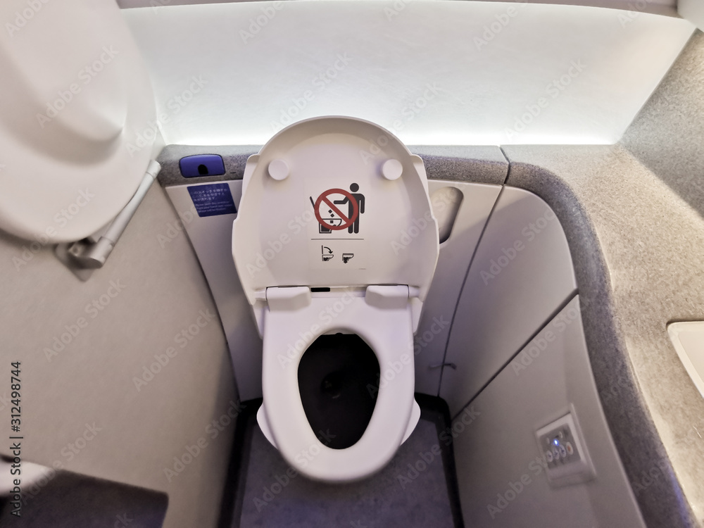 A bathroom toilet plane.