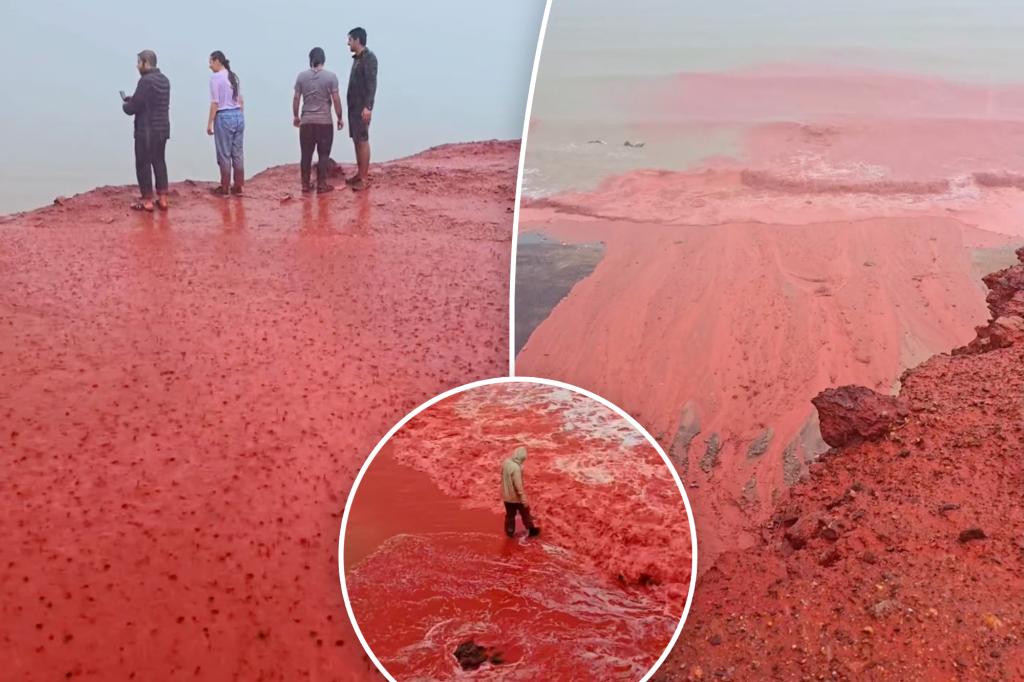 Strange phenomenon 'Blood rain' turns red tides and beach: 'really unique'