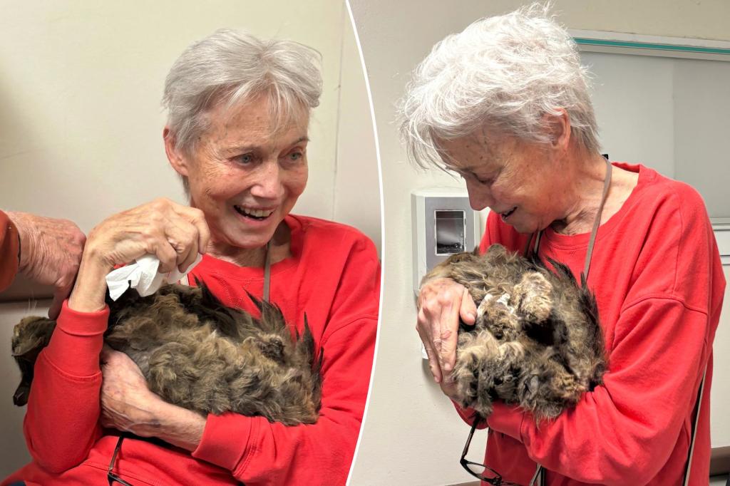 The tearful reunion between the cat was afraid of dead in wild fire and its 82-year-old owner goes viral